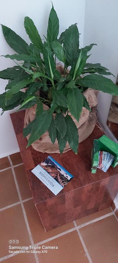 דירות Breña Baja Brenas Garden C9 מראה חיצוני תמונה